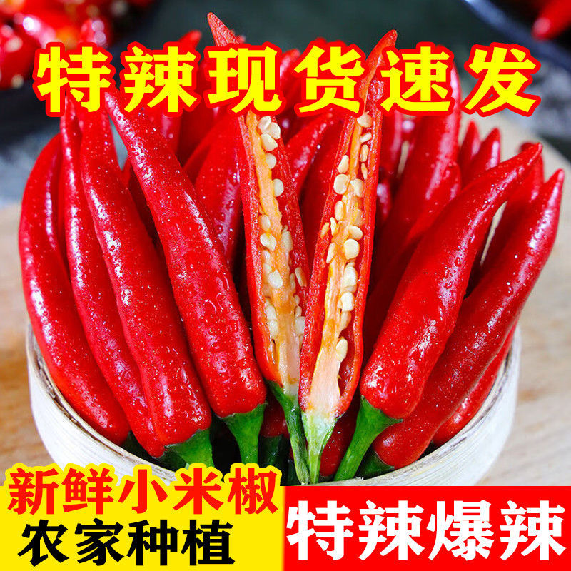 新鲜现摘小米椒朝天椒基地直供可电商一件代发超市工厂代办