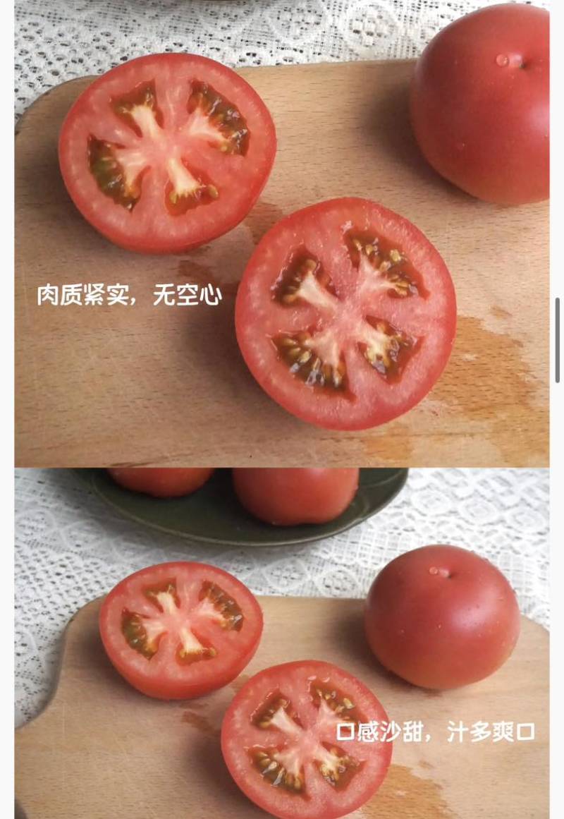 通过欧盟标准的内蒙古赤峰大庙番茄（大硬粉）