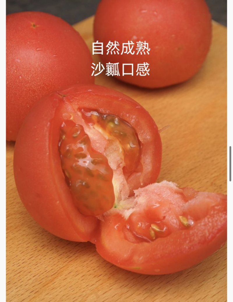 通过欧盟标准的内蒙古赤峰大庙番茄（大硬粉）