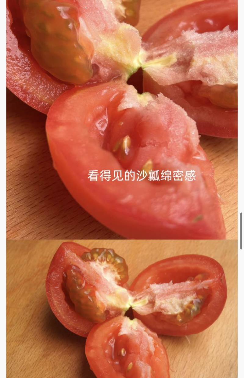 通过欧盟标准的内蒙古赤峰大庙番茄（大硬粉）