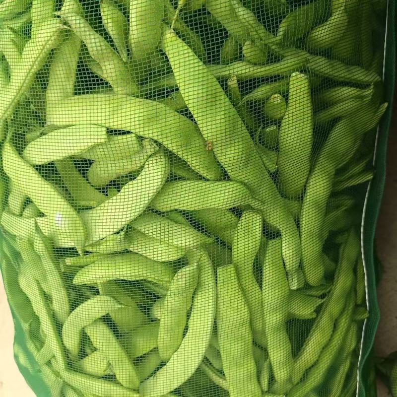 盖世豆角