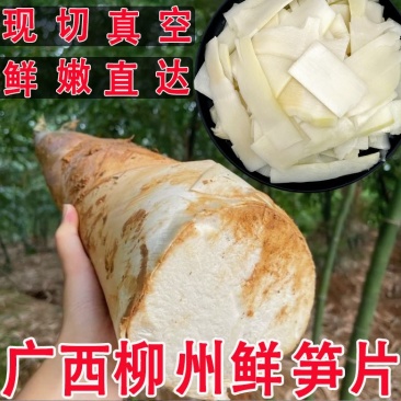 新鲜笋片