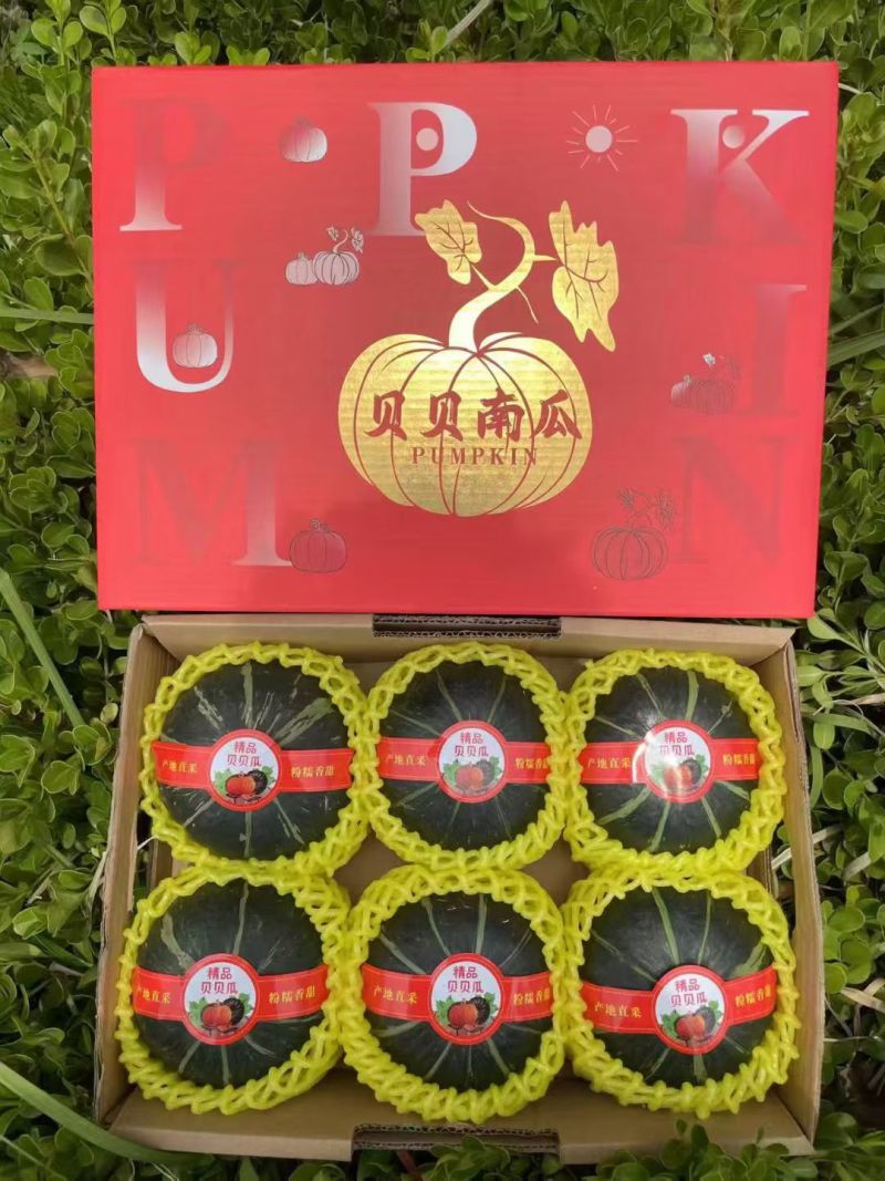 精品贝贝南瓜国内销售及出口