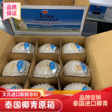 泰国进口香水椰青9个装大椰子