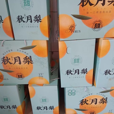 秋月梨