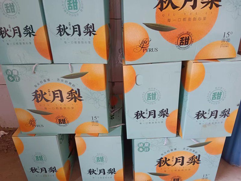 秋月梨