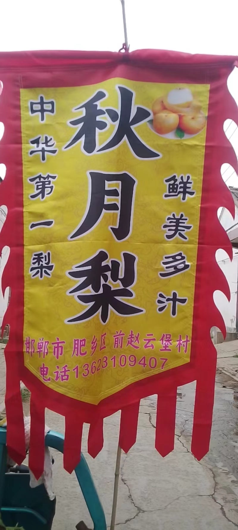 秋月梨