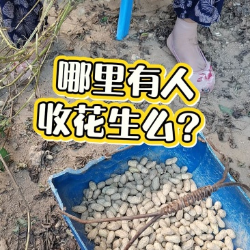 花生