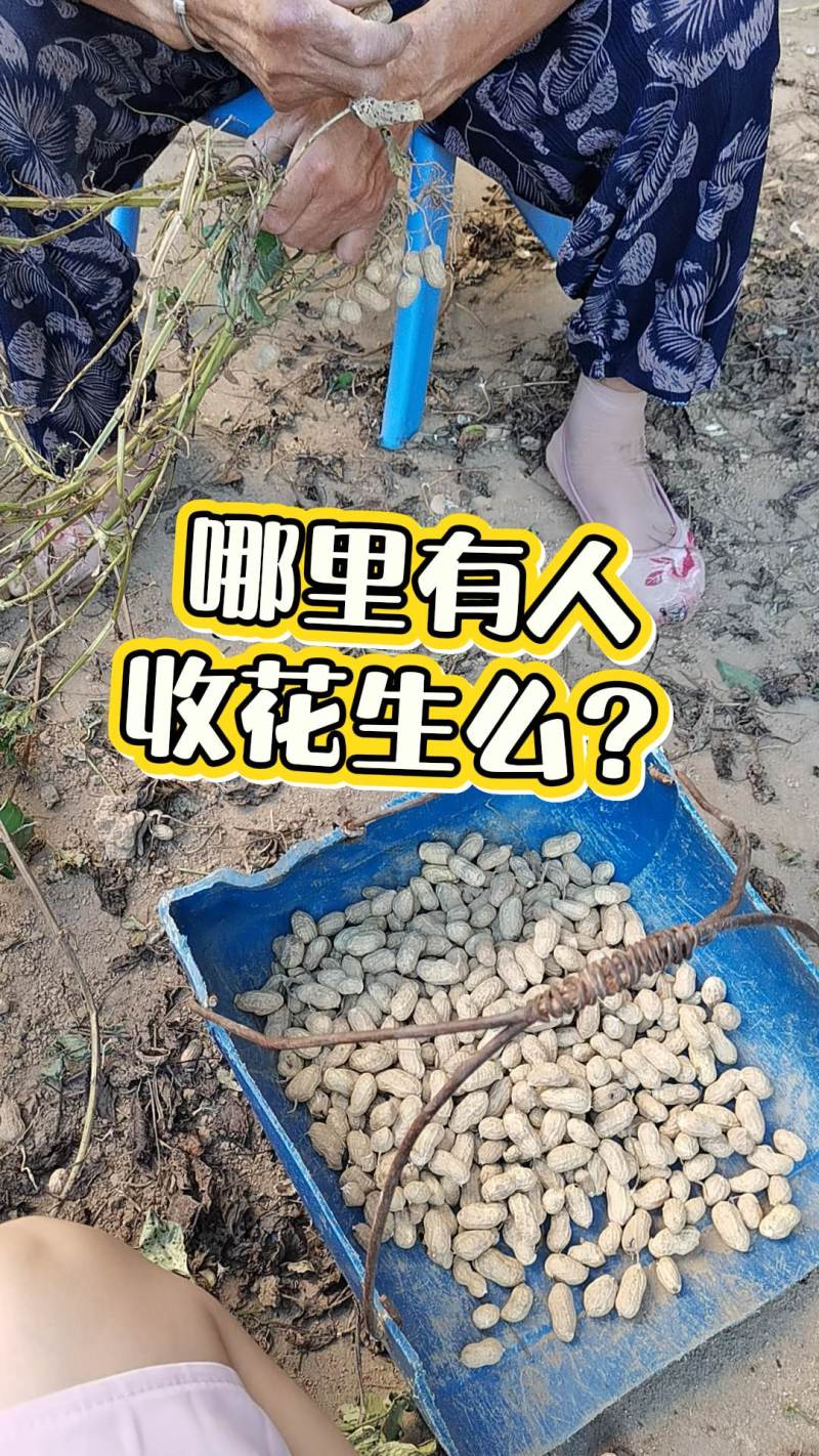 花生