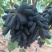 篮宝石葡萄