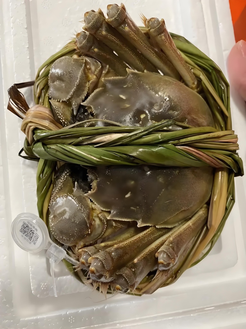 固城湖大闸蟹