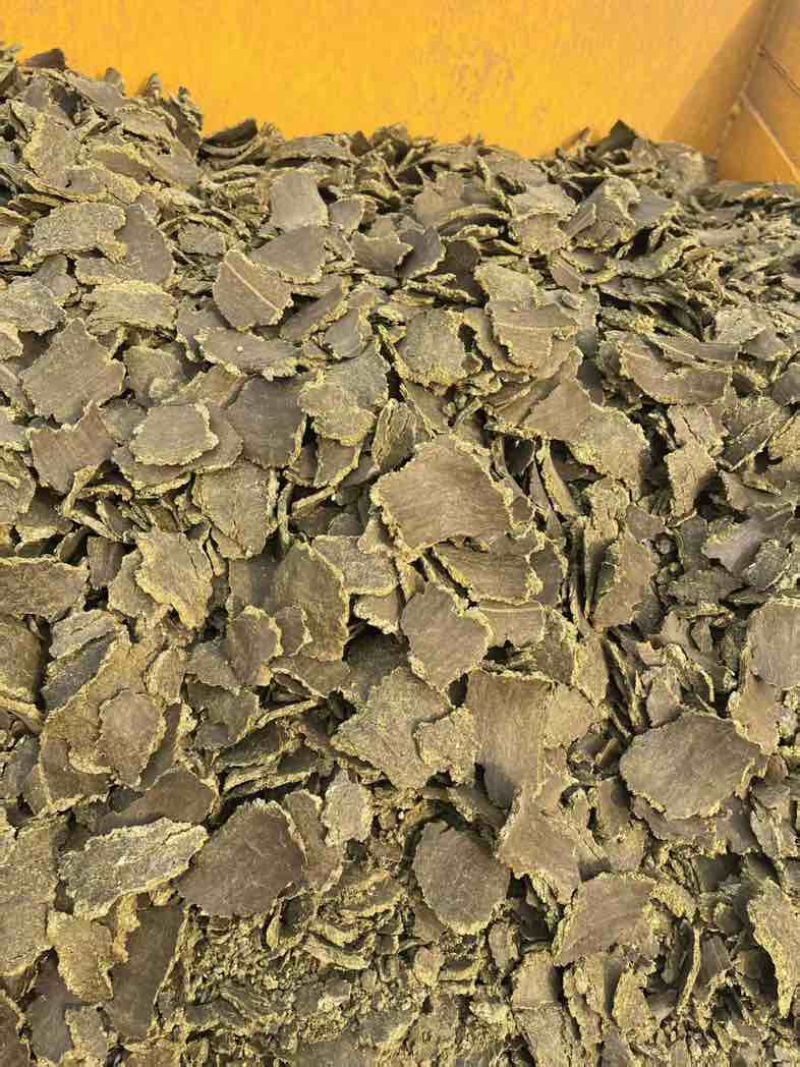 山东上地养殖专用棉籽饼无需二次发酵厂家直发