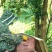 深山百花蜜，是我外公亲手养殖、割的蜂蜜，保证******