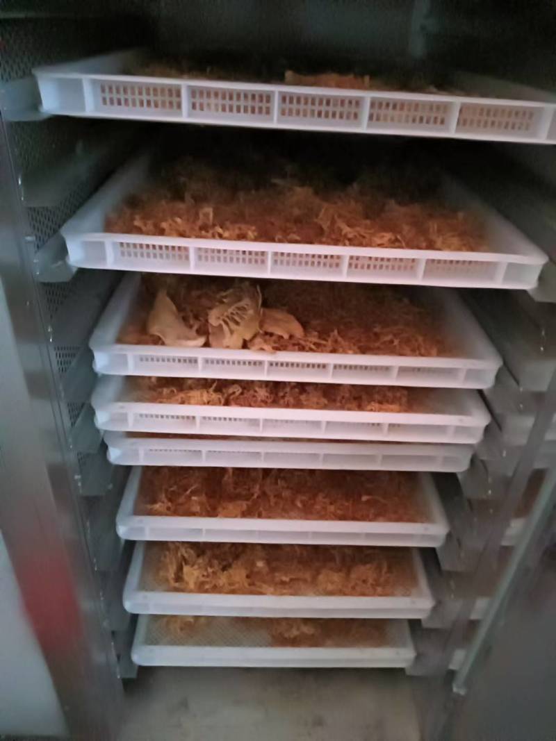 老板们你好，我有干竹笋商品，我有大量现货，需要的可以联系
