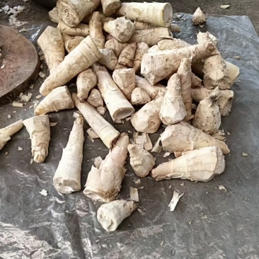 老板们你好，我有干竹笋商品，我有大量现货，需要的可以联系