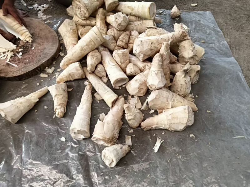老板们你好，我有干竹笋商品，我有大量现货，需要的可以联系