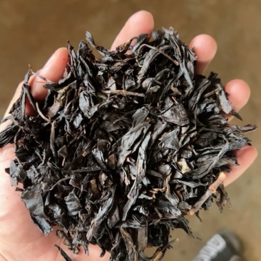 红茶批发