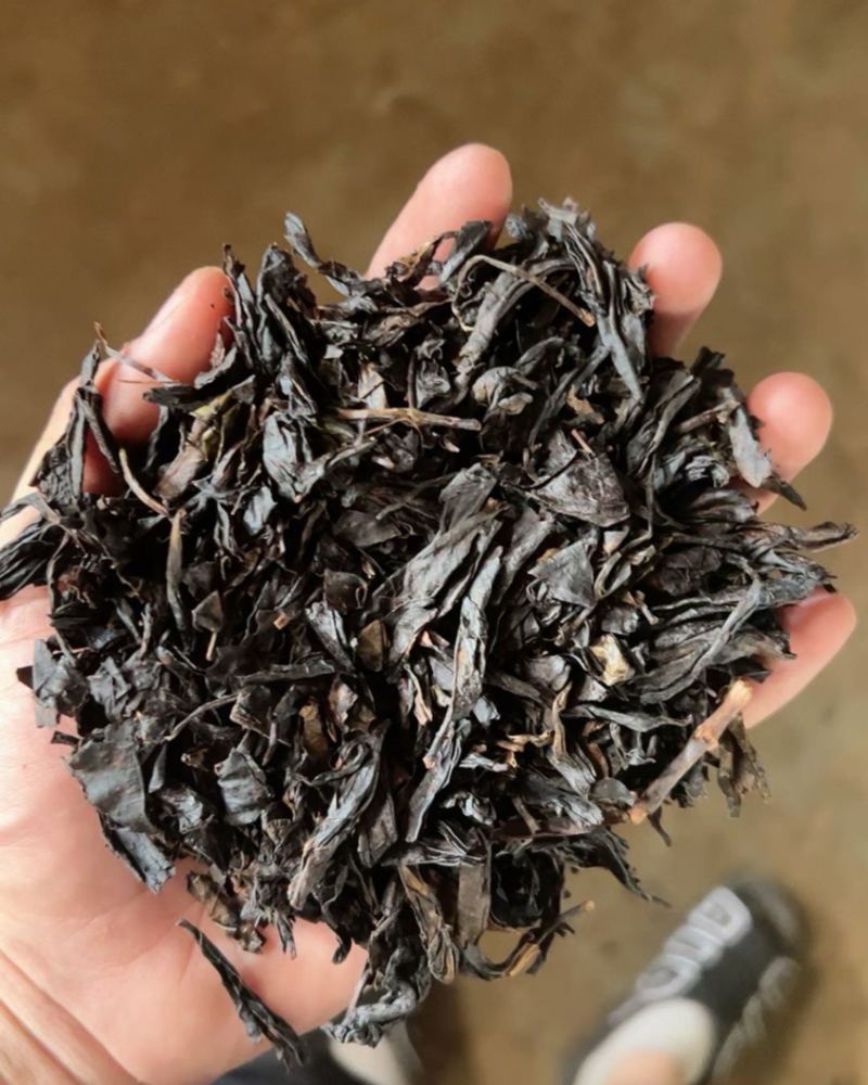 红茶批发
