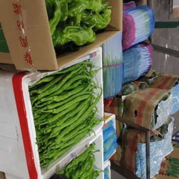 各类蔬菜