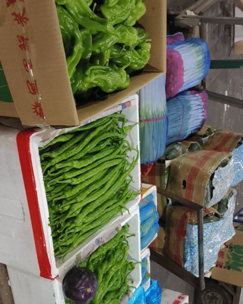 各类蔬菜