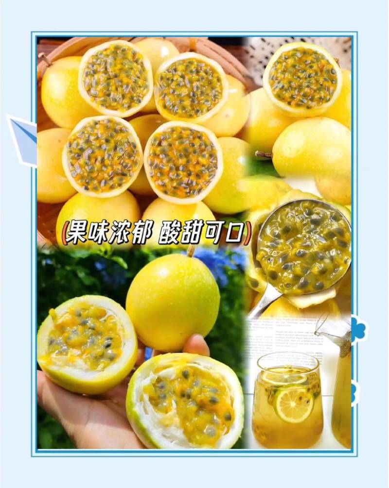 黄金百香果钦蜜9号甜度二十以上