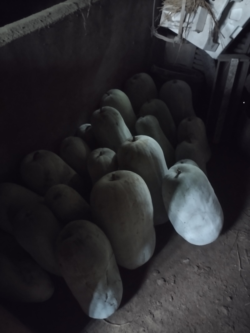 冬瓜,量大从优