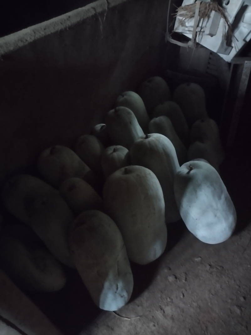 冬瓜,量大从优