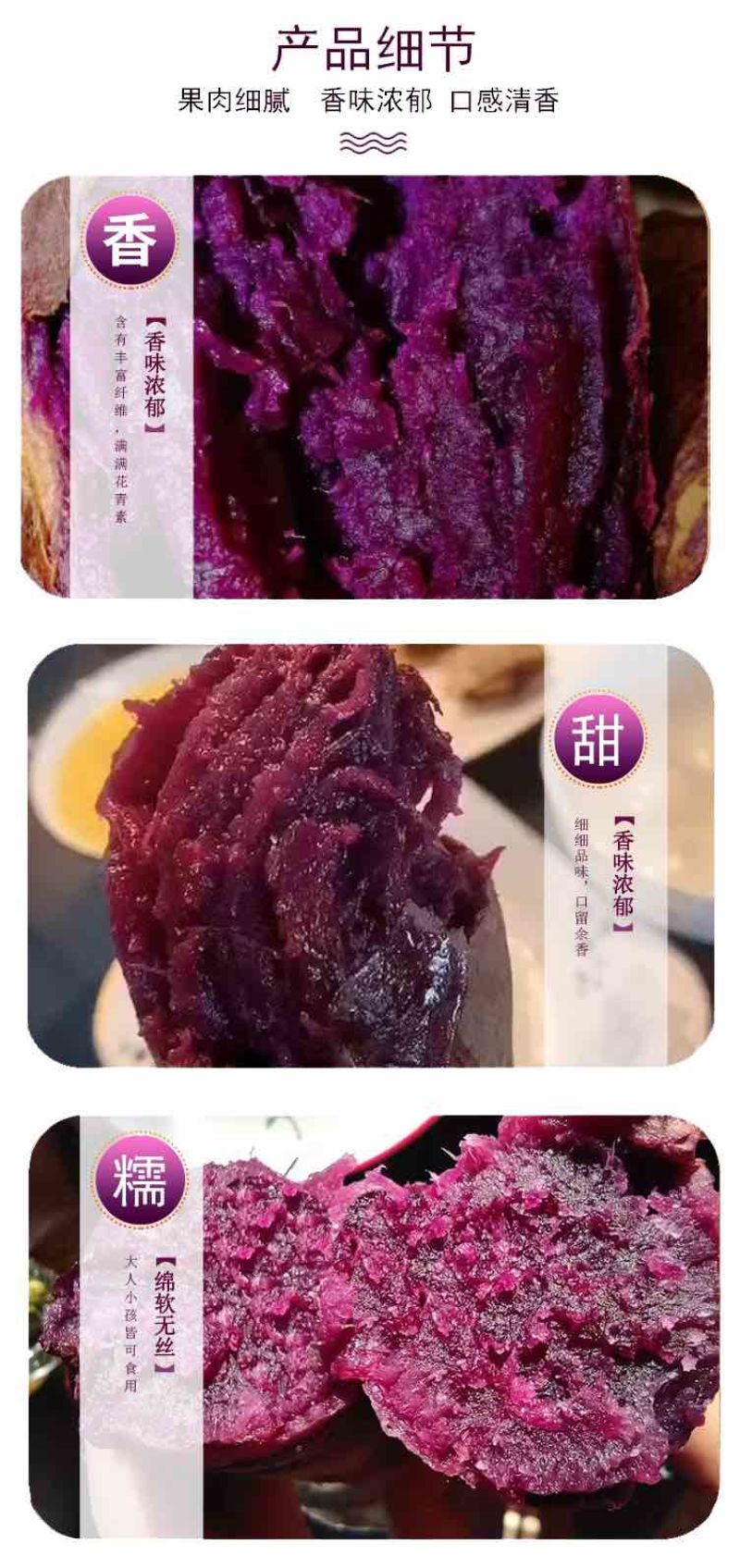 泰紫薯1号