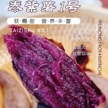泰紫薯1号