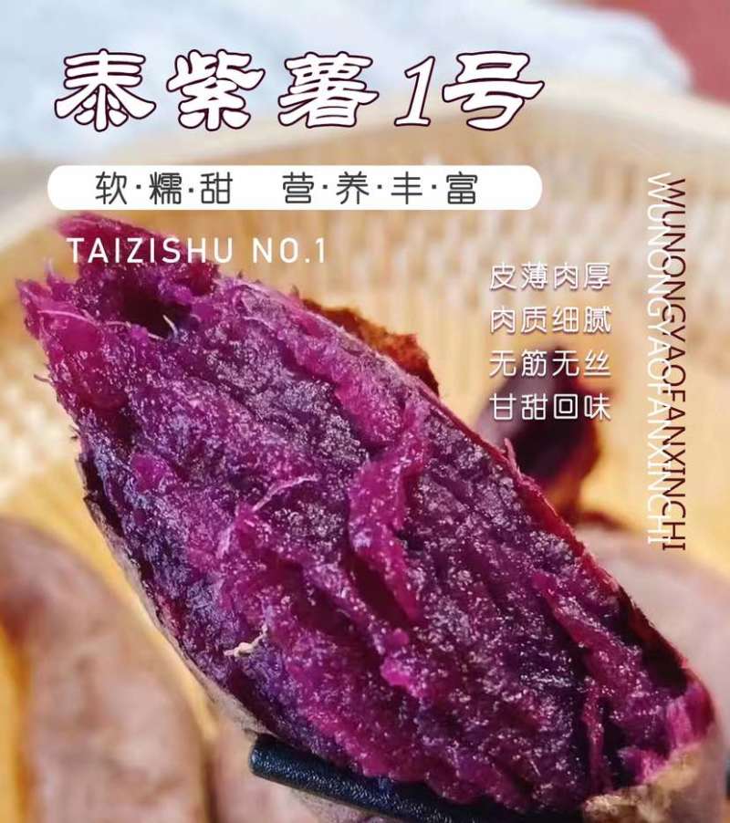 泰紫薯1号