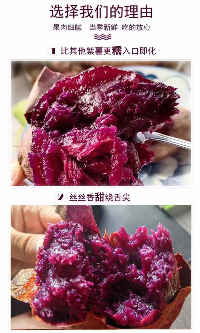 泰紫薯1号
