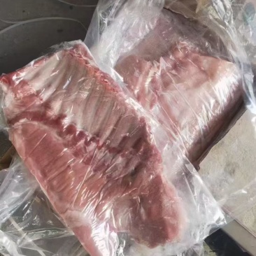 毛肋骨