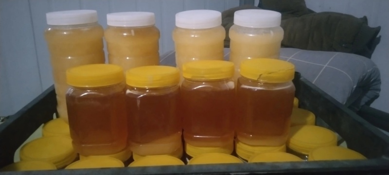 甘肃定西农家土蜂蜜
