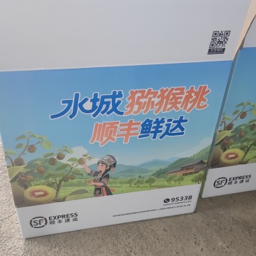 贵州市水城红心猕猴桃产地猴场乡按等级销售