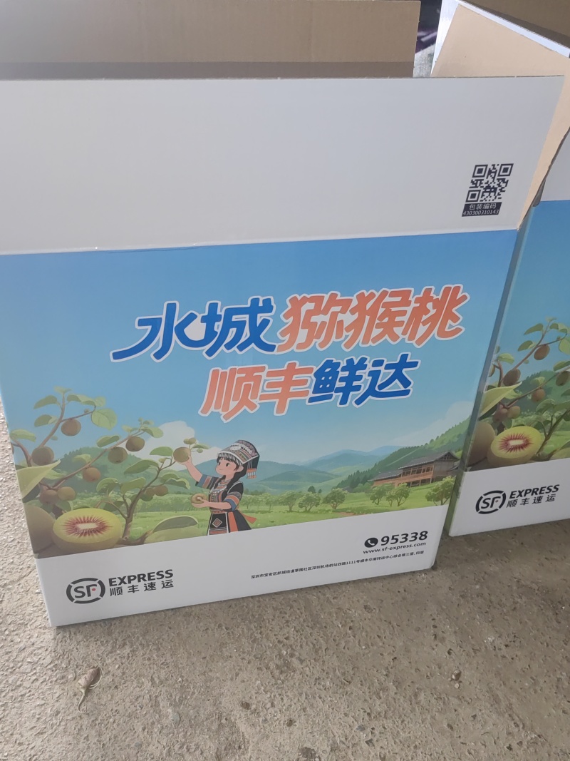 贵州市水城红心猕猴桃产地猴场乡按等级销售