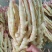 红芽子姜，小黄姜，大黄姜