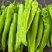 螺丝椒芜湖椒尖椒