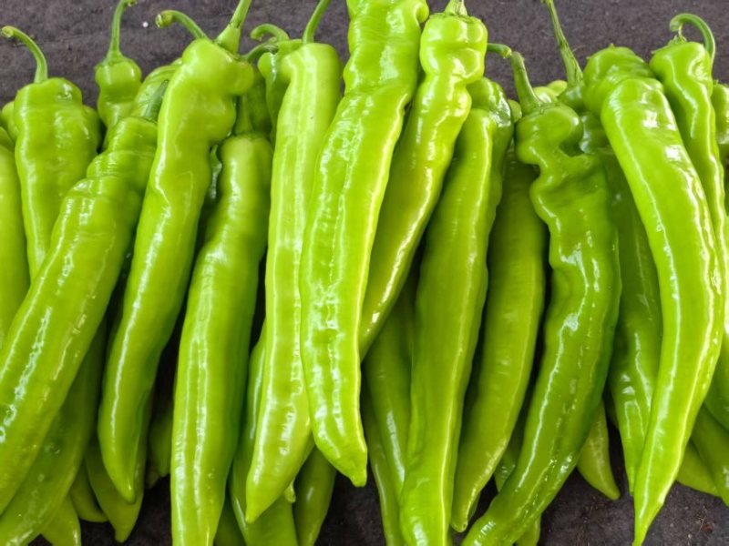 螺丝椒芜湖椒尖椒