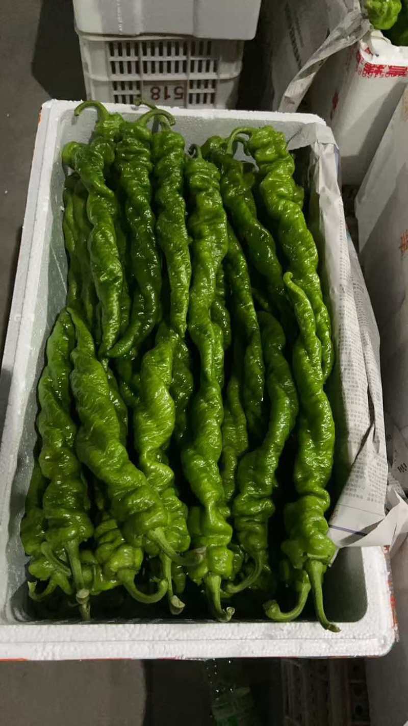 螺丝椒芜湖椒尖椒