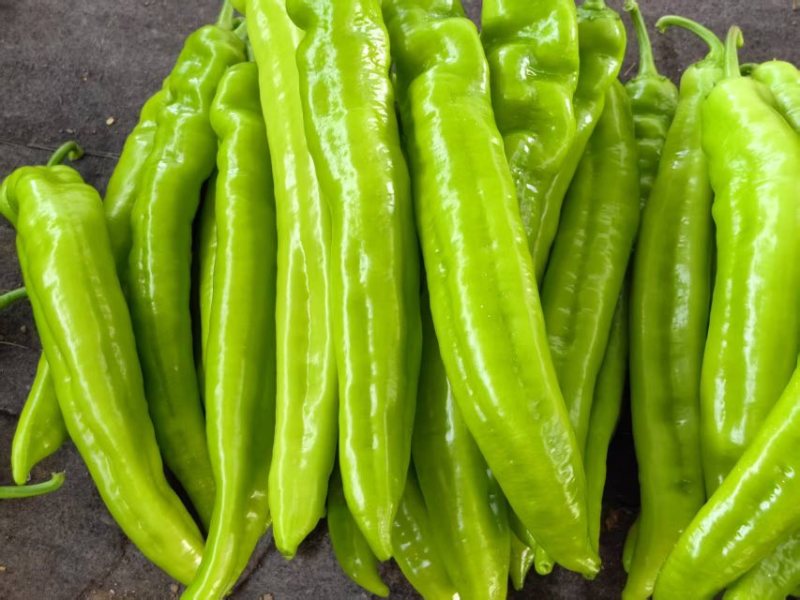 螺丝椒芜湖椒尖椒