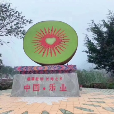 广西，百色市，乐业县，红心猕猴桃