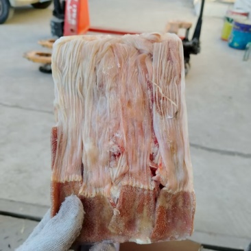 厂家大鸭食带30吨