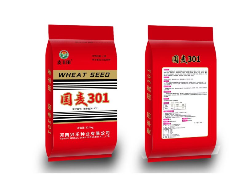 小麦种子