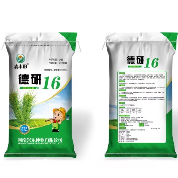 小麦种子