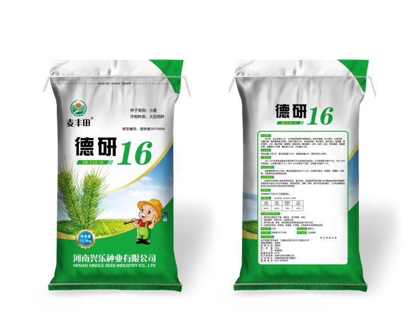 小麦种子