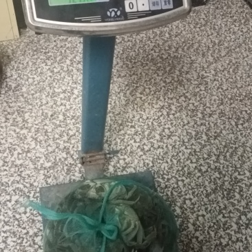 有机螃蟹，非养殖
