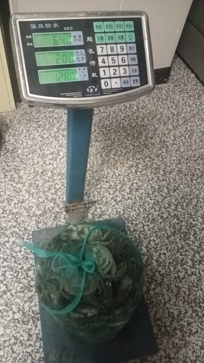 有机螃蟹，非养殖