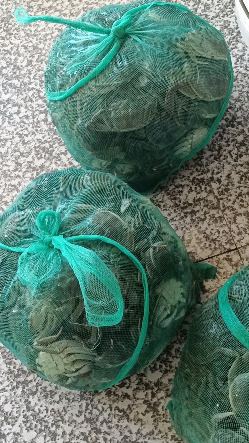 有机螃蟹，非养殖