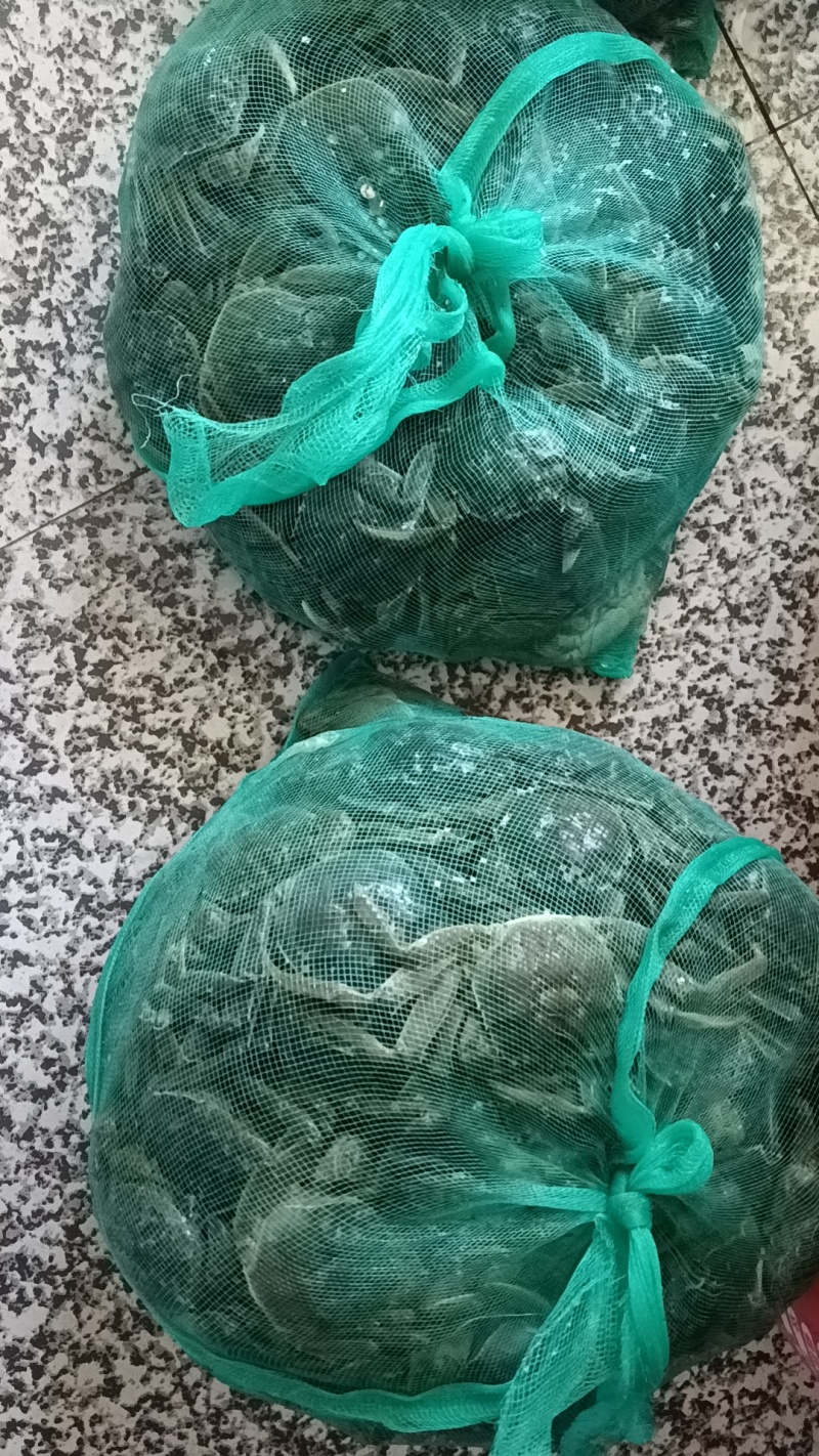有机螃蟹，非养殖