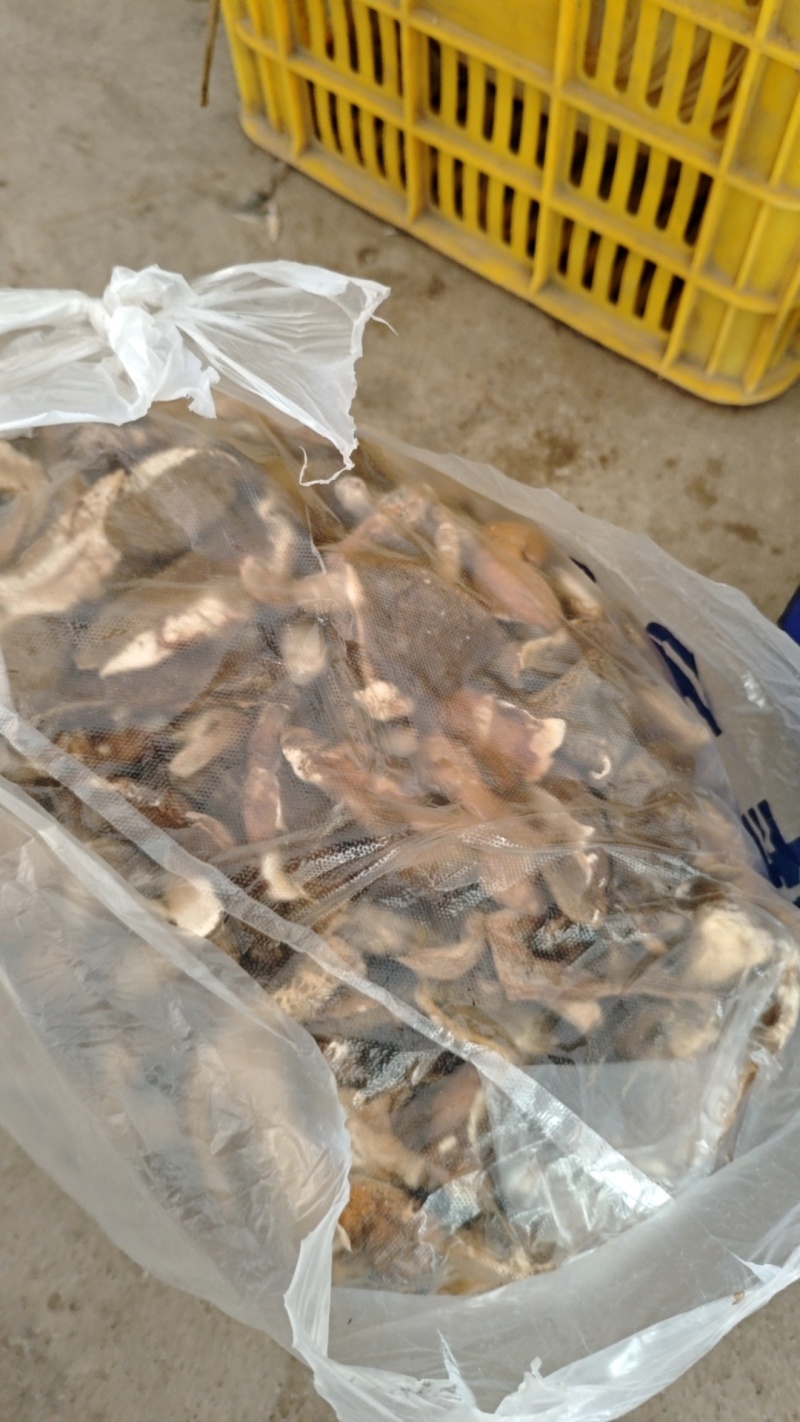 野生牛肝菌鲜货干货大量出售鲜货小18元每斤